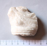 Fragment eines Marmorreliefs.        