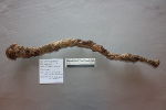 Abb. 3: Eiserne, tordierte Schwertgürtelkette Fundnummer 6 vor der Restaurierung