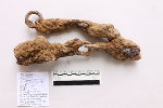 Abb. 5: Eiserne Schwertgürtelkette mit Stabgliedern Fundnummer 83 vor der Restaurierung